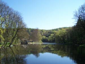 Muldental Reizvoller Blick über die Zwickauer Mulde