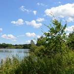 Limbacher Teichgebiet