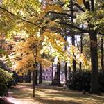 Stadtpark im Herbst