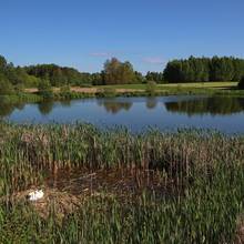 Blick auf Schimmels Teiche