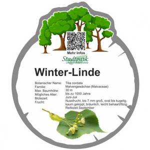 winter linde 46