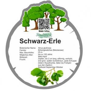 schwarz erle 29