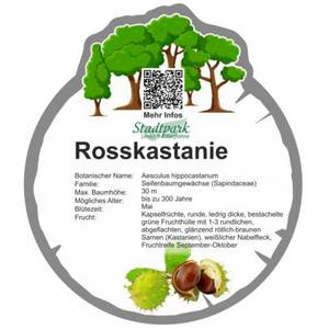 rosskastanie 24