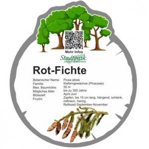 rot fichte 27