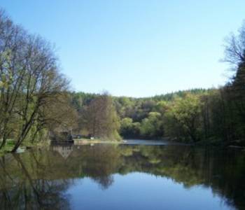 Reizvoller Blick über die Zwickauer Mulde