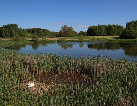 Blick auf Schimmels Teiche