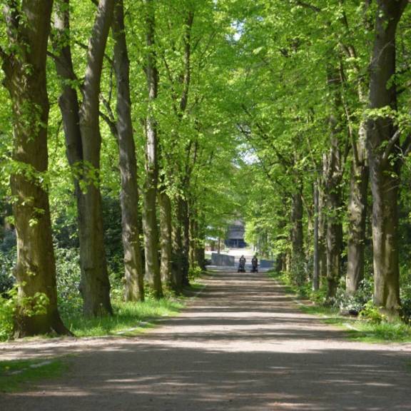 Stadtpark Limbach-Oberfrohna