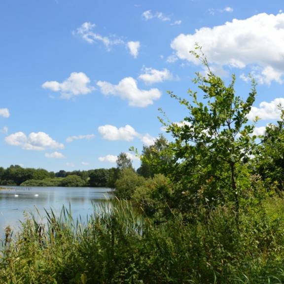 Limbacher Teichgebiet