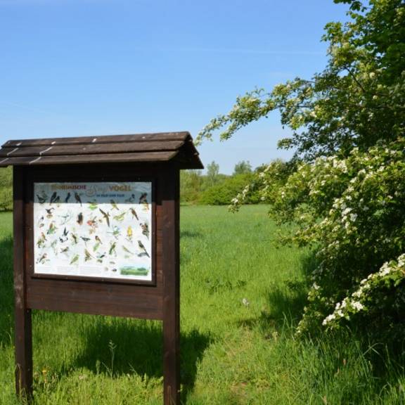 Limbacher Teichgebiet