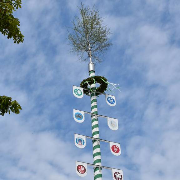 Maibaum Rußdorf